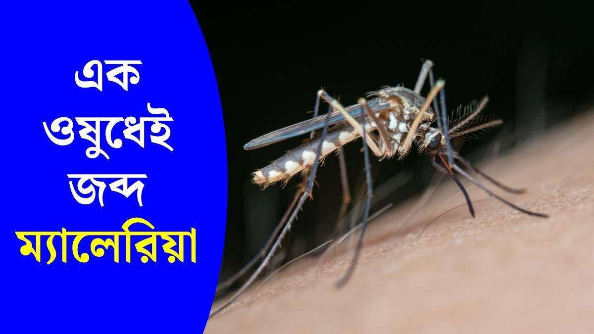 এক ওষুধেই চিরতরে সারবে ম্যালেরিয়া, কলকাতা মেডিক্যালে শেষের পথে ট্রায়াল