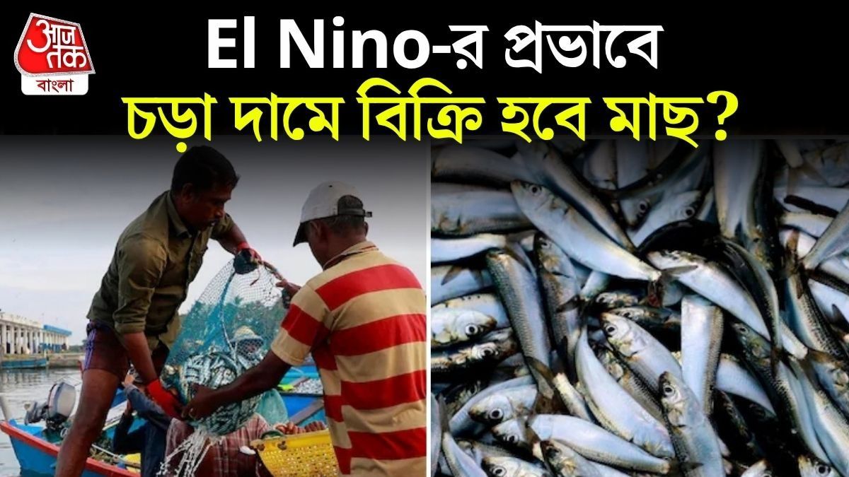 এল নিনোর প্রভাব পড়বে মাছের বাজারেও, জোগান কমের আশঙ্কা, দামও বাড়বে? 