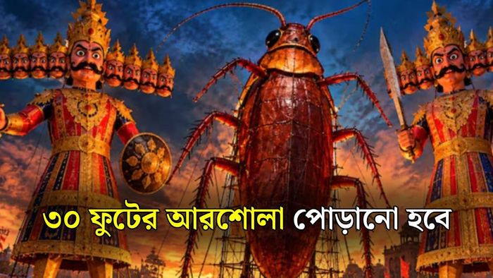 আরশোলার কুশপুতুল পোড়ানো হবে