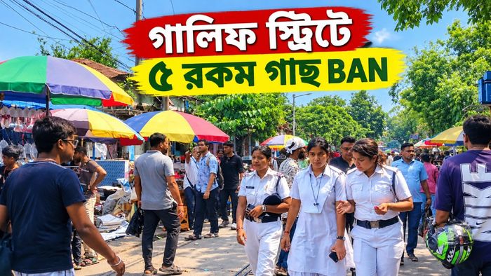 গলিফ স্ট্রিটে ৫ রকম গাছ কেনা-বেচা নিষিদ্ধ