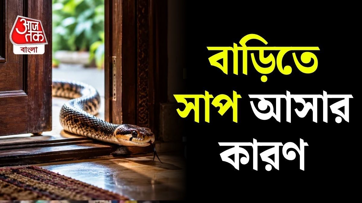 বাড়ির ভিতরে হঠাৎ সাপ! ভয় পাওয়াটাই স্বাভাবিক। 