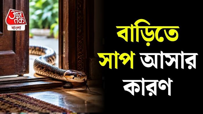 বাড়ির ভিতরে হঠাৎ সাপ! ভয় পাওয়াটাই স্বাভাবিক।