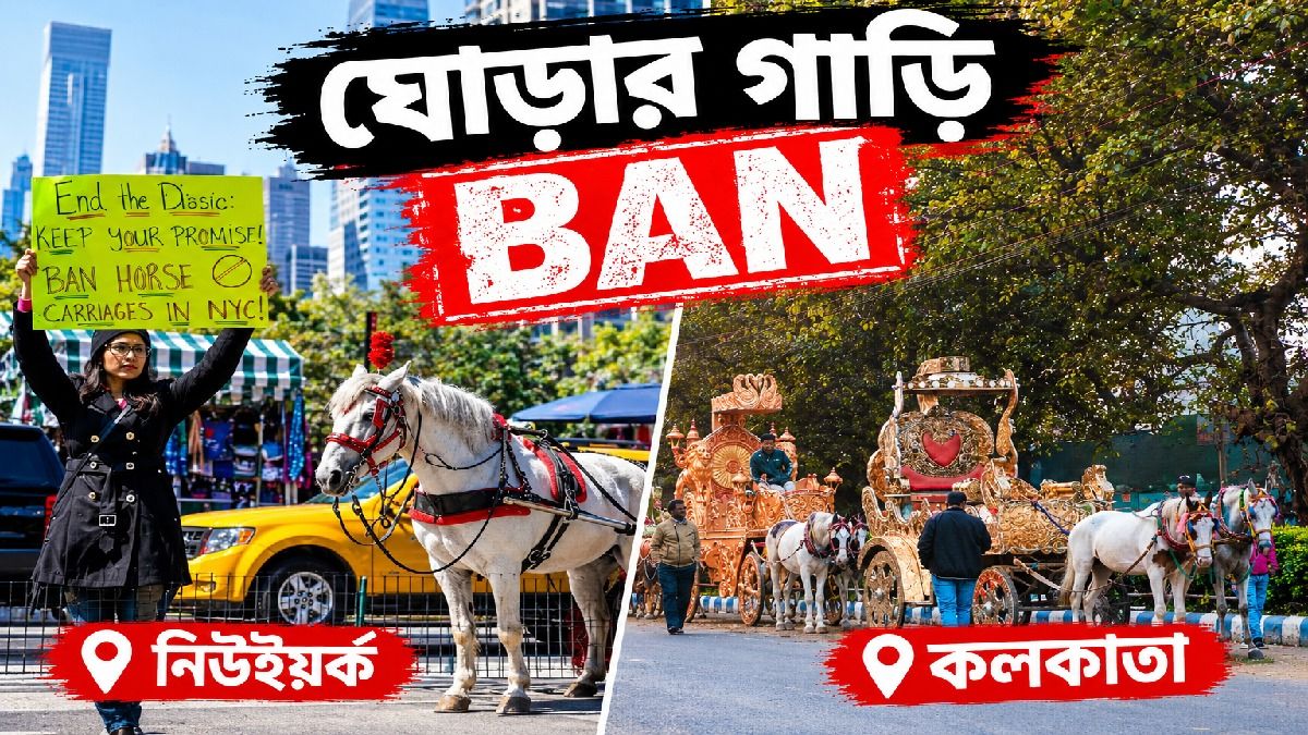 ভারতীয়ের মৃত্যুতে নিউইয়র্কে ব্যান ঘোড়ায় টানা গাড়ি