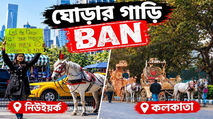 ভারতীয়ের মৃত্যুতে নিউইয়র্কে ব্যান ঘোড়ায় টানা গাড়ি