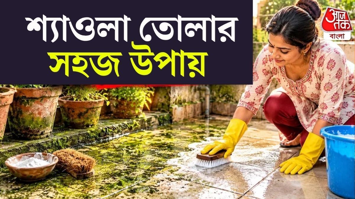  কয়েক মিনিটেই পরিষ্কার হয়ে যাবে, এই সস্তা সাদা পাউডারটি দারুণ কাজে আসবে।