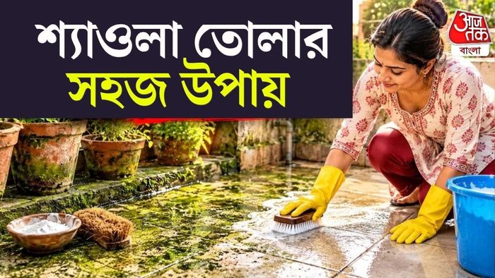 কয়েক মিনিটেই পরিষ্কার হয়ে যাবে, এই সস্তা সাদা পাউডারটি দারুণ কাজে আসবে।