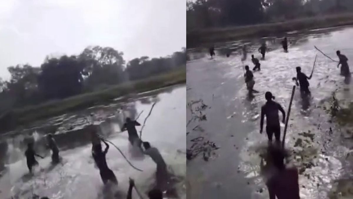 বাংলাদেশ সীমান্তে BSF-এর উপর পাথর ছুঁড়ে হামলা