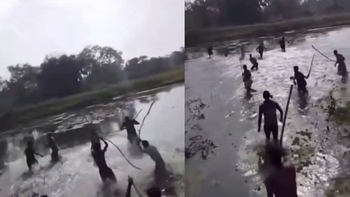 বাংলাদেশ সীমান্তে BSF-এর উপর পাথর ছুঁড়ে হামলা