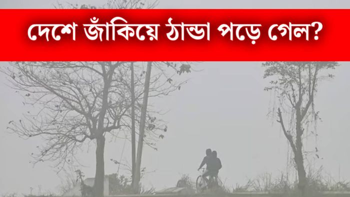 জাঁকিয়ে শীত পড়ে গেল? (ছবি: পিটিআই)