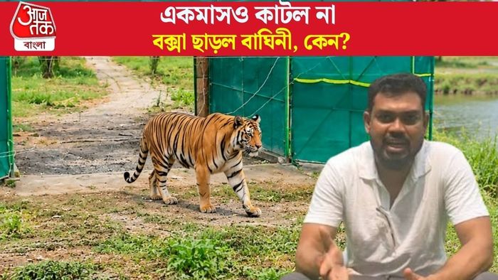 বক্সা ছাড়ল বাঘিনী, কেন?