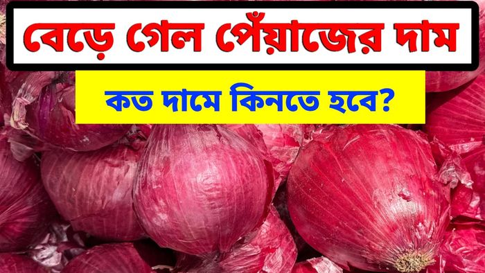 Onion Price hike