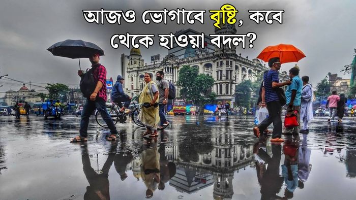 শনিবার কেমন থাকবে পশ্চিমবঙ্গের আবহাওয়া? (ছবি: পিক্সেলস)