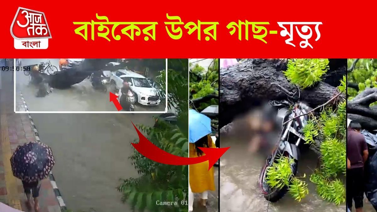 Kalkaji Tree Crashes On Bike