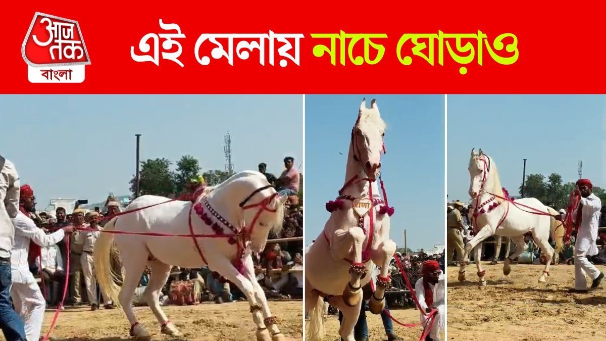 Pushkar Horse Dance
