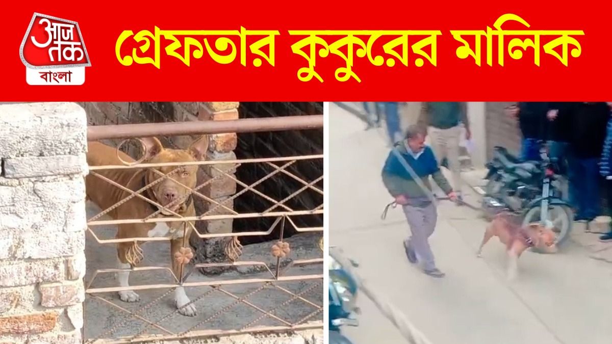 দিল্লিতে পিটবুলের আক্রমণে ক্ষতবিক্ষত শিশু, VIRAL