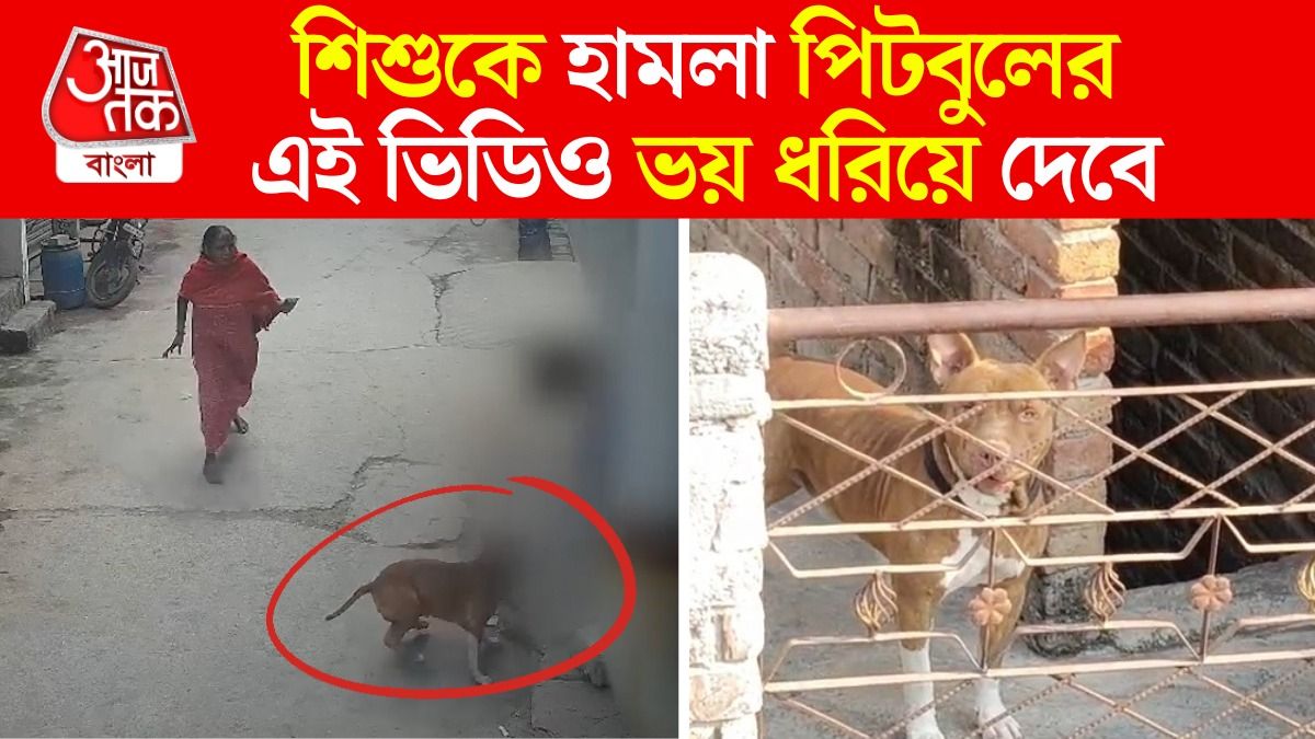 Delhi তে 6 বছরের শিশুকে Attack করল Pitbull, দেখুন হামলার মুহূর্তের CCTV Video
