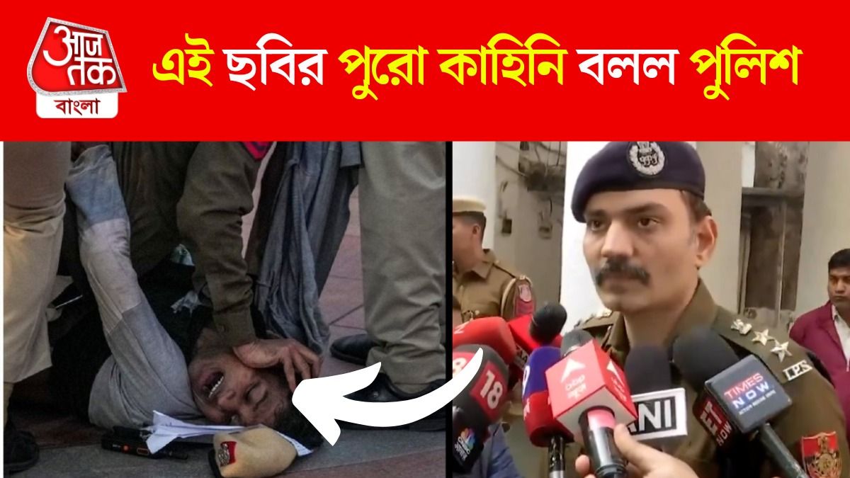 Delhi Pollution Protest Viral Photo নিয়ে আদালতে কী জানালেন Delhi Police DCP Devesh Malha?