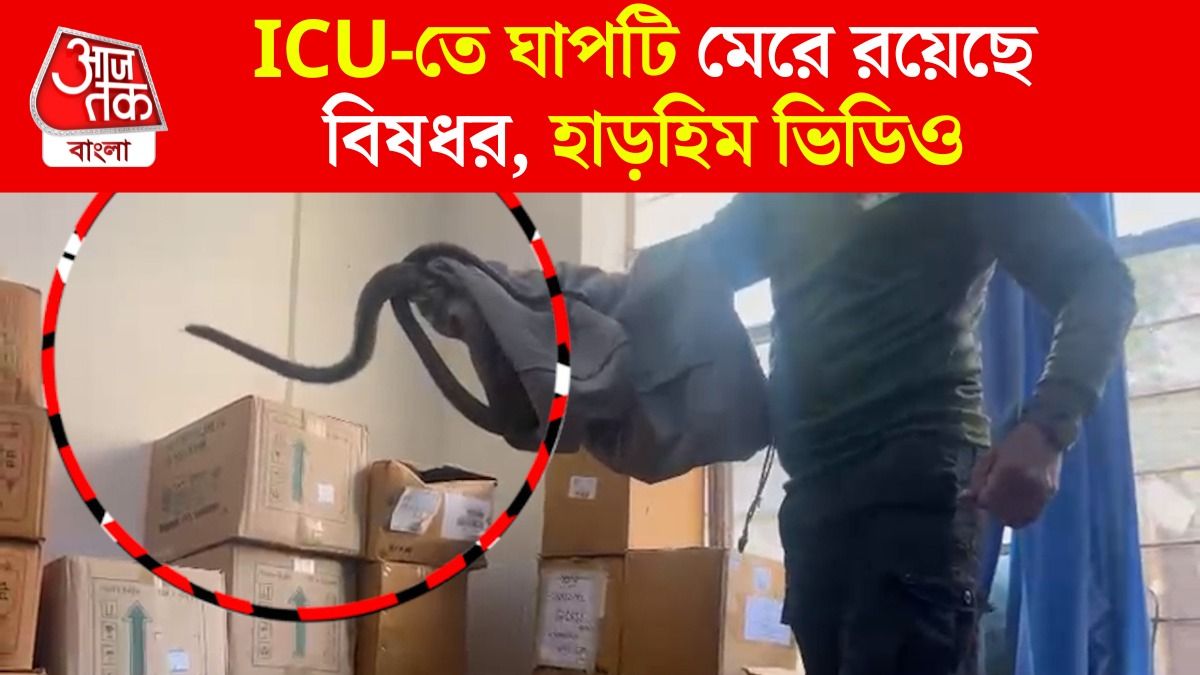 সাংঘাতিক কাণ্ড! হাসপাতালের ICU-তে ঢুকে পড়ল ৬ ফুটের সাপ