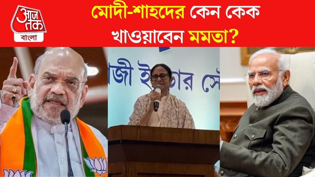 'ওরা ফেক বানাচ্ছে, আমরা কেক বানাব,' মোদী-শাহকে বার্থ সার্টিফিকেট খোঁচা মমতার