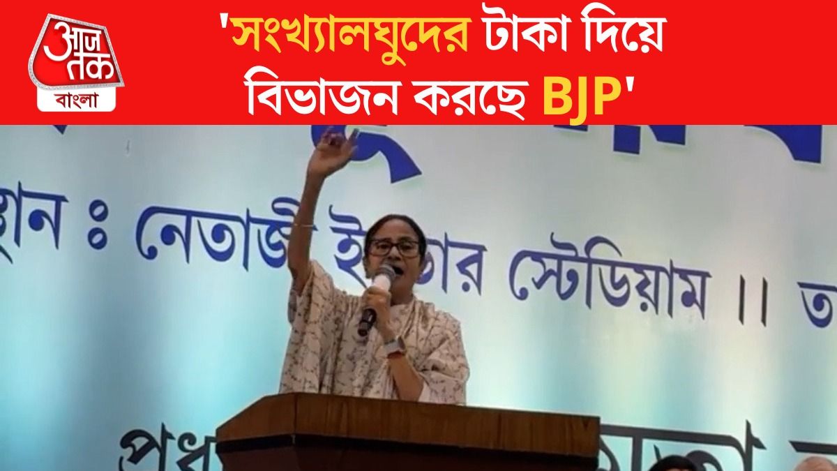 'নোটবন্দিতেও গিয়েছিল, ভোটবন্দিতেও যাবে,' SIR নিয়ে BJP-কে তীব্র আক্রমণ মমতার