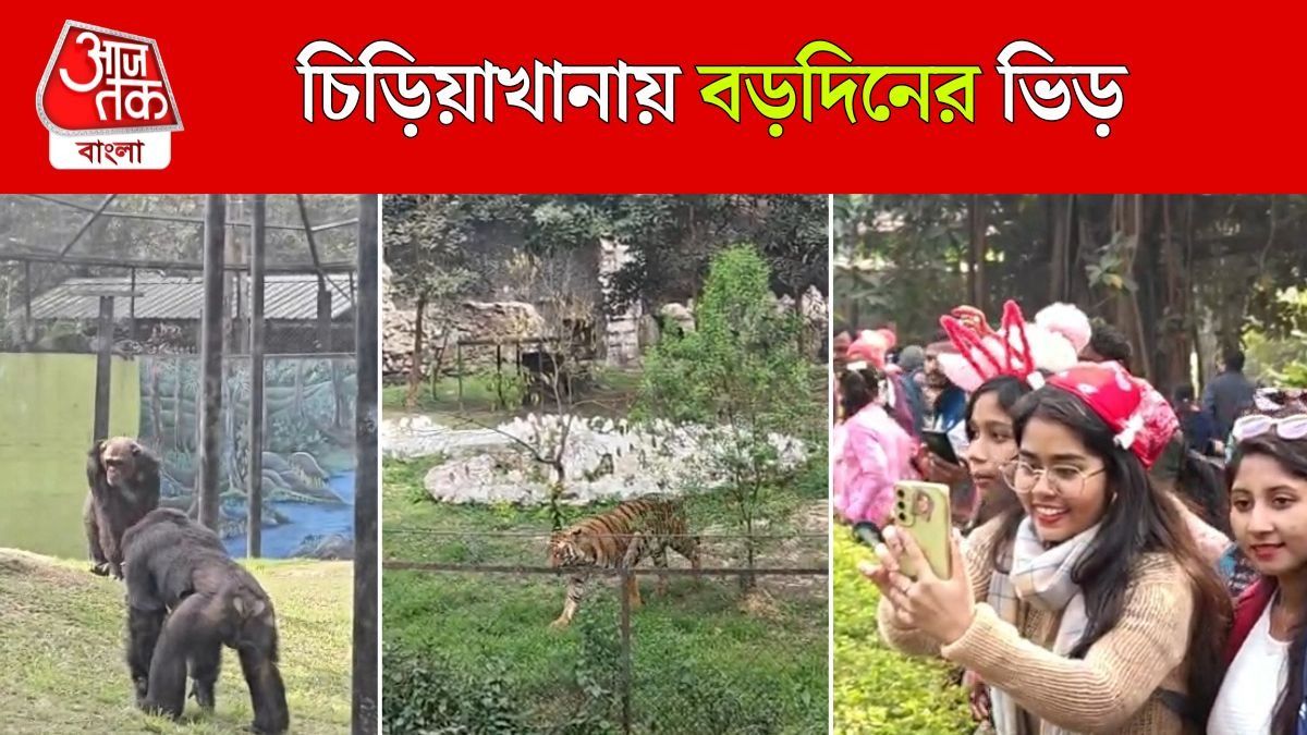 দেখা মিলল বাঘের, Christmas এ Alipore Zoo এর Video