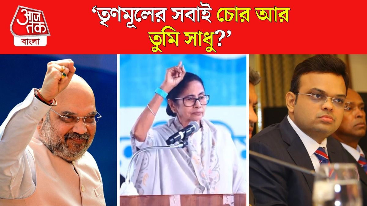 ‘শুধু তুমি খাবে আর তোমার ছেলে খাবে?’ অমিত শাহকে তীব্র কটাক্ষ মমতার