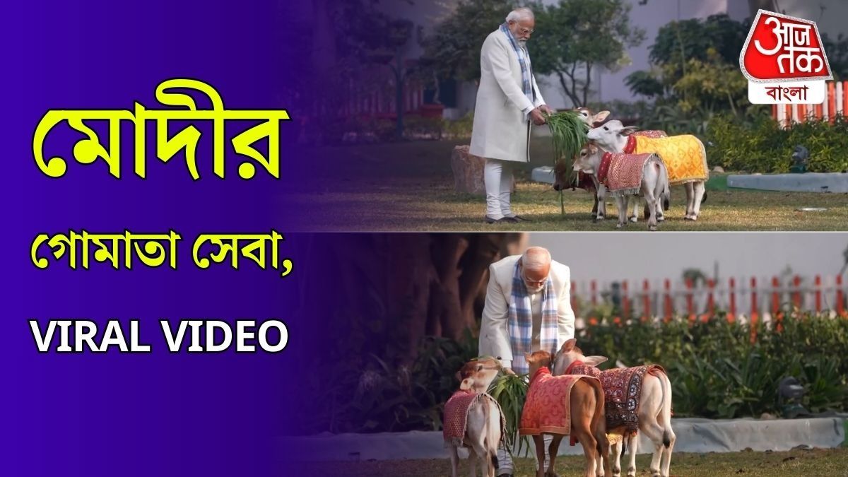 সংক্রান্তিতে PM Modi এর গোসেবা, গরুদের খাওয়ালেন ভক্ত মোদী, VIDEO VIRAL