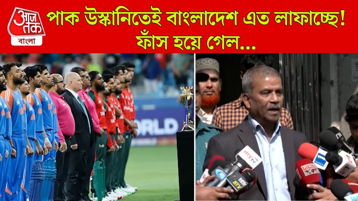 T20 বিশ্বকাপে বাংলাদেশকে পাক উস্কানি? আসিফ নজরুলের মুখ ফসকে বেরিয়ে গেল!
