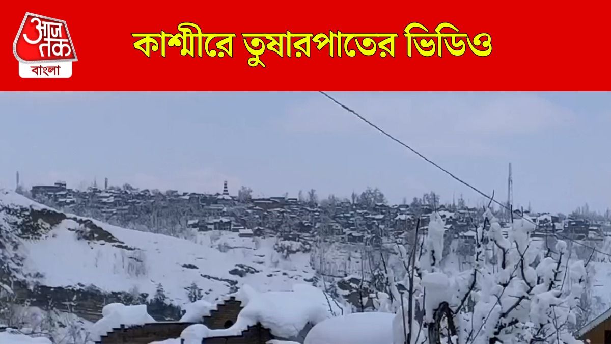 বরফে ঢাকা পড়ল ভূস্বর্গ, দেখুন Kashmir Snowfall Video