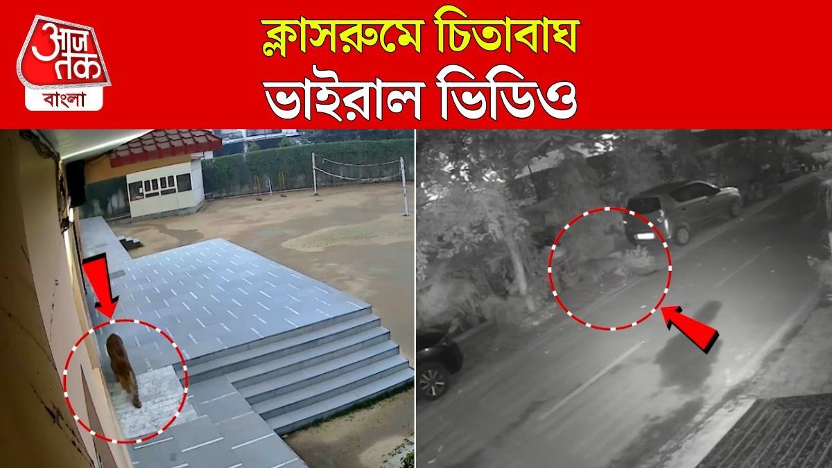 Leopard Enters In School at Ghaziabad