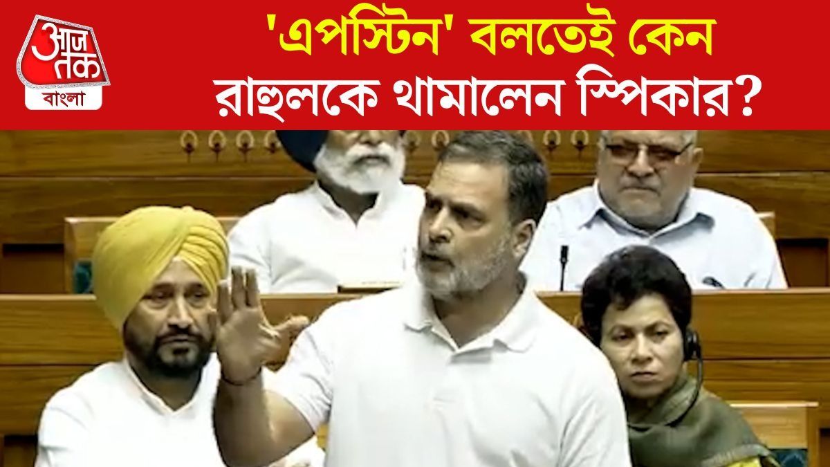 LPG, Petrol Crisis প্রসঙ্গে Epstein তুললেন Rahul Gandhi, সংসদে হাঙ্গামা