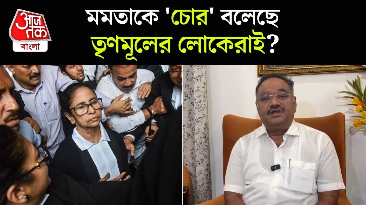 Samik Bhattacharya On Mamata Banerjee