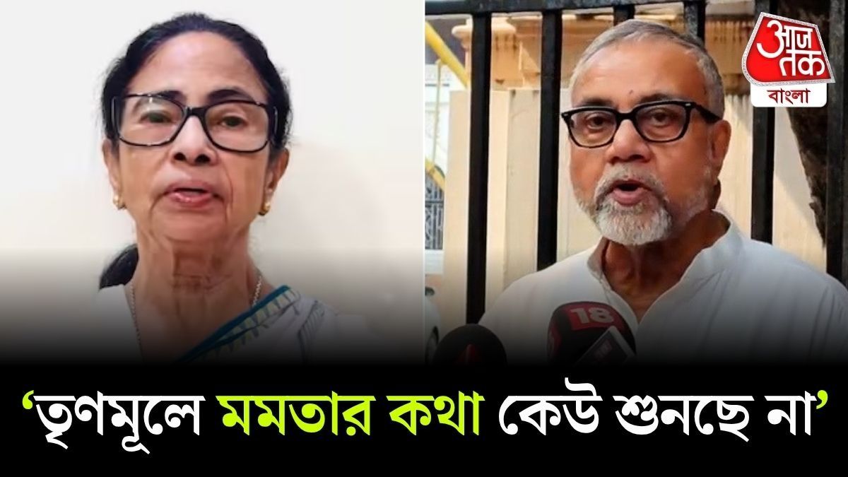TMC দলটা উঠে গেলে ওই দলের ৮০ বিধায়কের ভবিষ্যৎ কী? বিস্ফোরক Tapas Roy