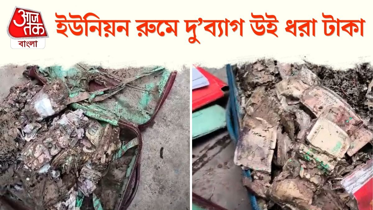 সুরেন্দ্রনাথ কলেজের ইউনিয়ন রুমে দু’ব্যাগ উই ধরা টাকা! ভর্তি দুর্নীতির অভিযোগ BJP র