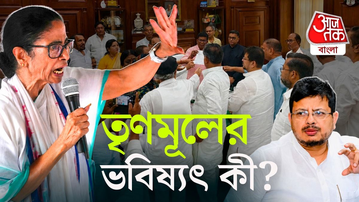 Lop Ritabrata Banerjee, দলহারা Mamata? TMC এর খেলা শেষ? Explained Video