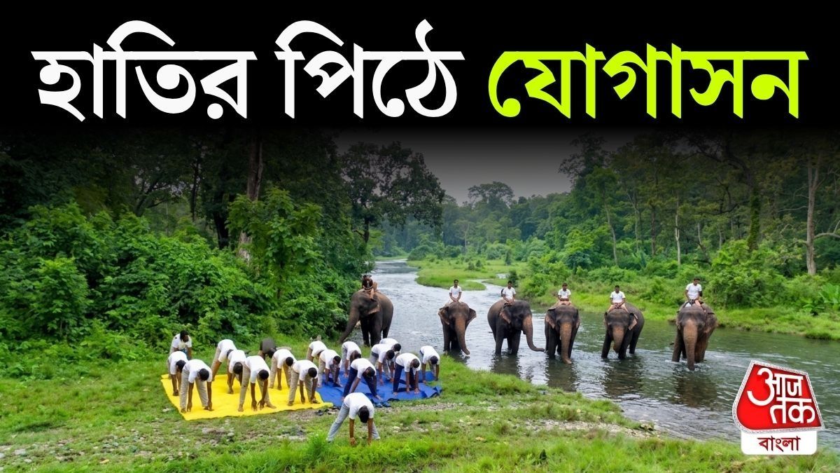 যোগাভ্যাসে হাতিও, Jaldapara অভয়ারণ্যের এই Yoga Video Viral