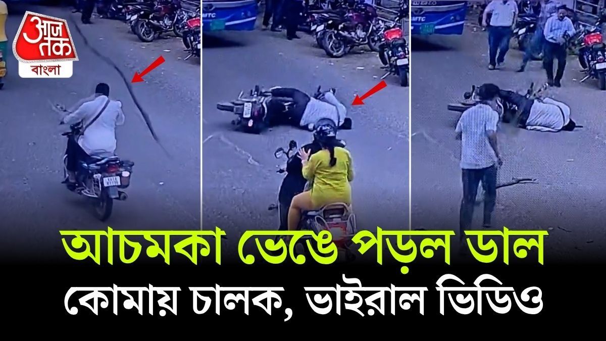 Bike চালানোর সময় মাথার উপরে ভেঙে পড়ল ডাল, কোমায় Rider, Bengaluru Viral Video