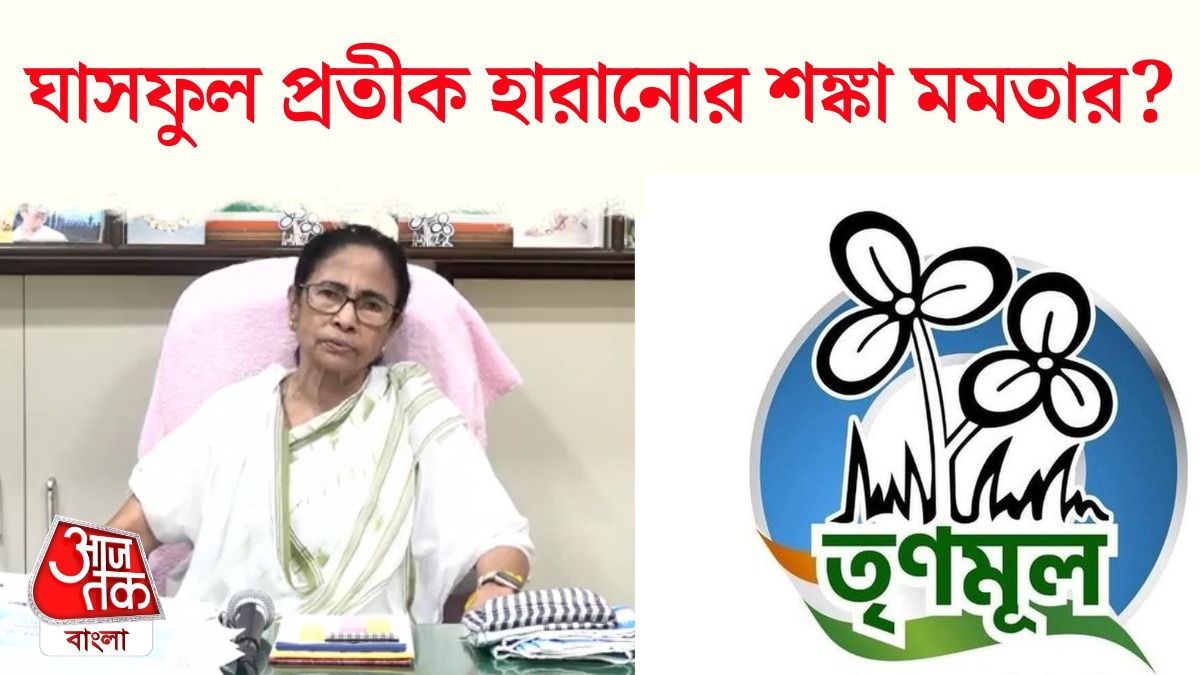 'প্রতীক কেড়ে নিতে পারেন', TMC Symbol হাতছাড়া হওয়ার আশঙ্কায় Mamata?