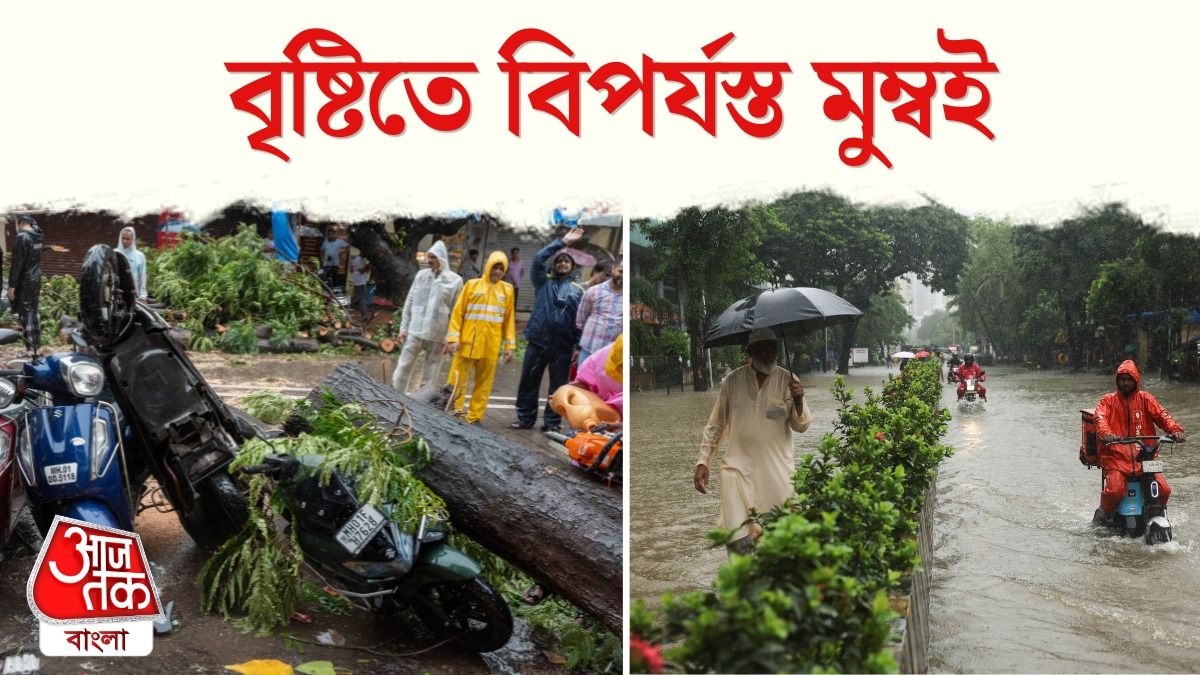 টানা বৃষ্টি, গাছ পড়ে মৃত্যু, দেখুন Mumbai Rain Video 