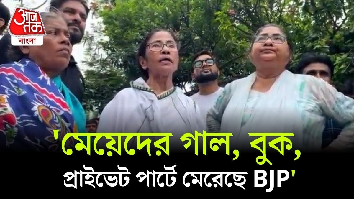 'এই পরিবর্তন চেয়েছিল বাংলা?', TMC মিছিলে BJP Attack এর অভিযোগ করলেন Mamata 
