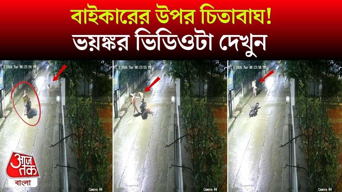 Delivery Man এর উপর ঝাঁপিয়ে পড়ল Leopard, Indore Viral Video