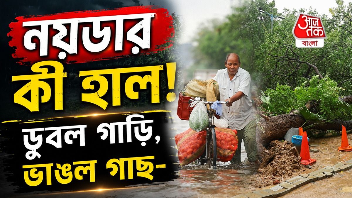 Heavy Rain এ বিপর্যস্ত Delhi-NCR, জায়গায় জায়গায় পড়ল গাছ, জলের তলায় রাস্তা