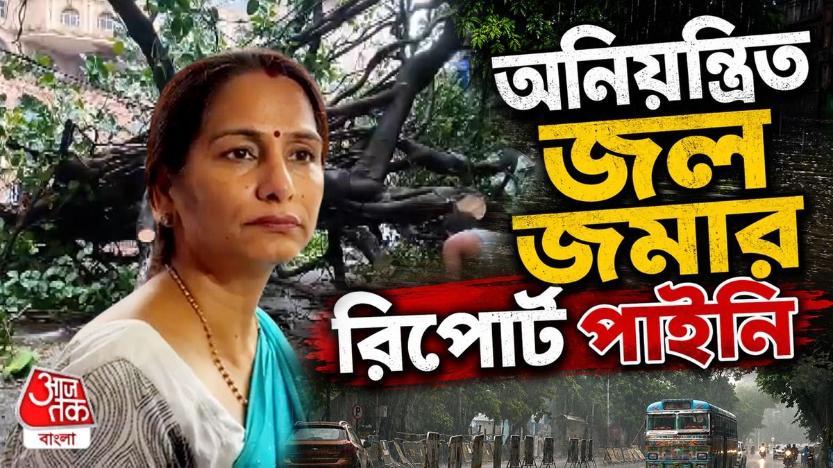 Heavy Rain হলেই কেন গাছ পড়ছে? জানালেন KMC Administrator Smita Pandey 