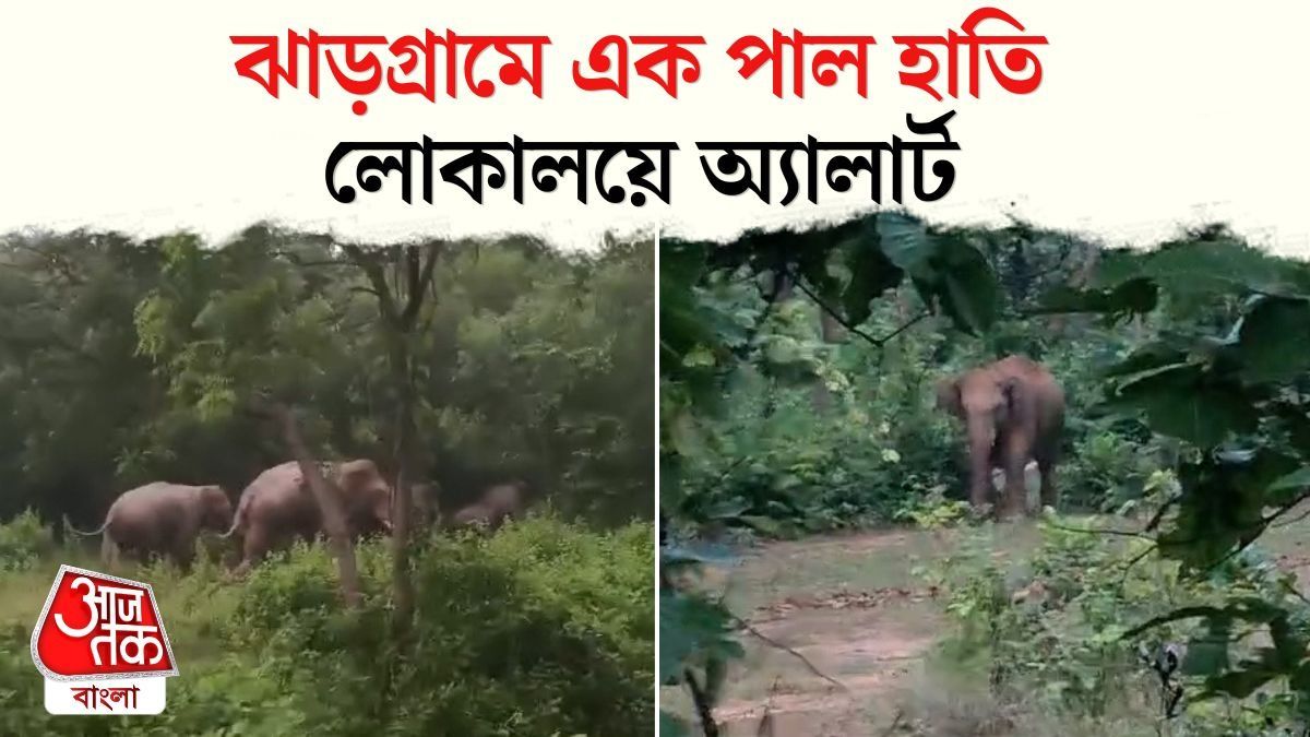 jhargram sankrail elephant