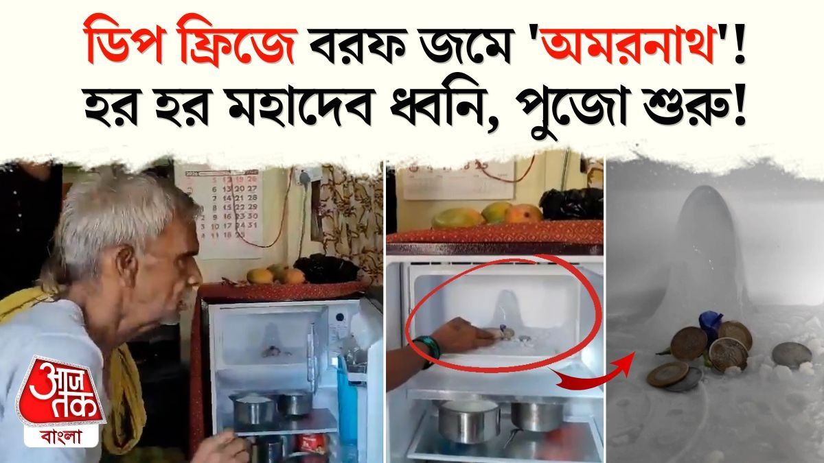ডিপ ফ্রিজে সাক্ষাত্‍ 'অমরনাথ'! পুজো শুরু, দেদার ভিড় ভক্তদের, VIDEO VIRAL