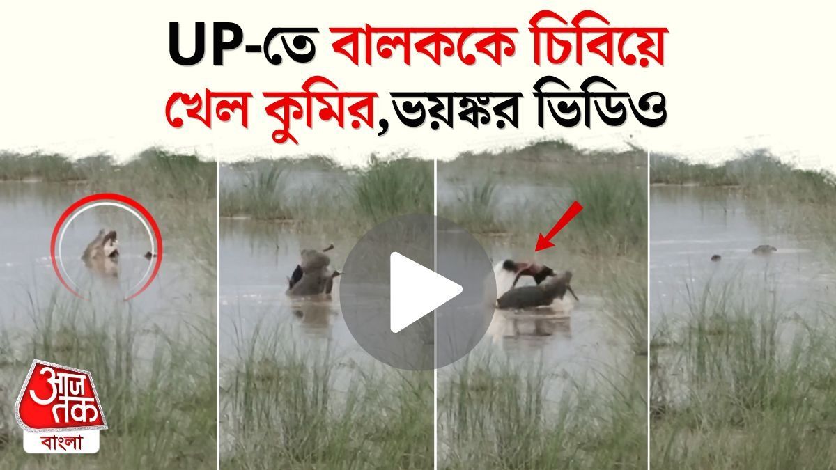 12 বছরের বালককে আছাড় কুমিরের, Bahraich Crocodile Viral Video 