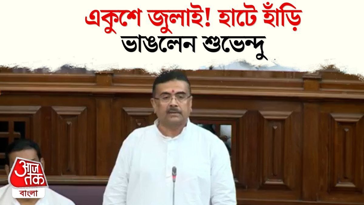 কত মিথ্যে? একুশে জুলাইয়ের ফাইল খুলতেই বিস্ফোরক সব তথ্য! দেখুন