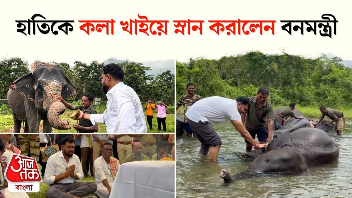 World Elephant Day 2026 at Jaldapara 