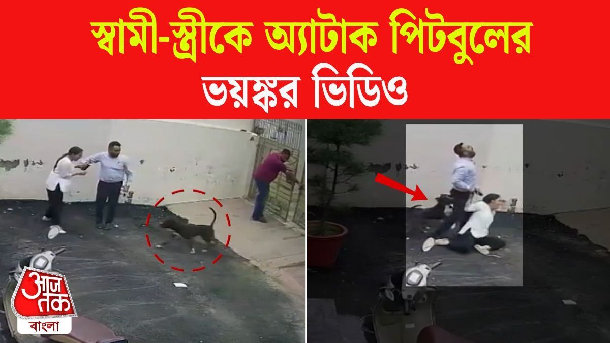 মাটিতে ফেলে কামড়ের পর কামড়, Pitbull Viral Video দেখলে আঁতকে উঠবেন