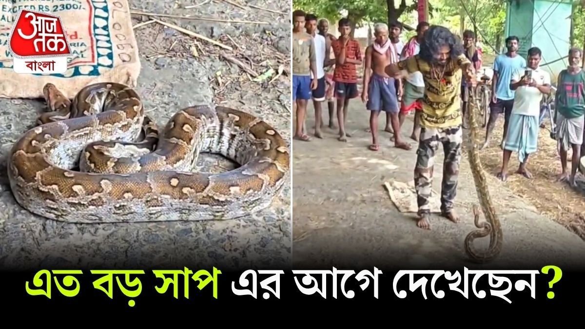 Jhargram Giant Python Rescue Video